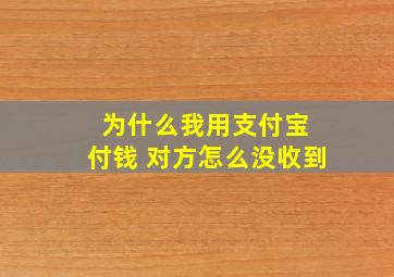 为什么我用支付宝 付钱 对方怎么没收到